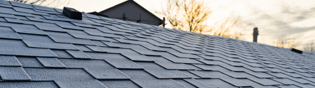Check roof shingles
